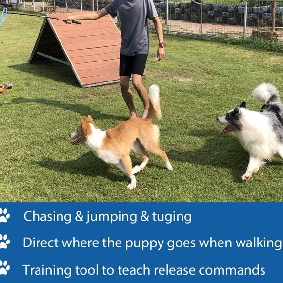 Lightweight Interactive Flirt Pole for Dogs - Perfect for Indoor & Outdoor Play - Picture 3 of 6